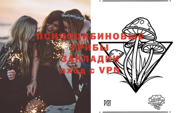 твердый Касимов