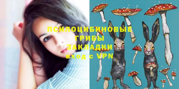 ГАЛЛЮЦИНОГЕННЫЕ ГРИБЫ Арсеньев