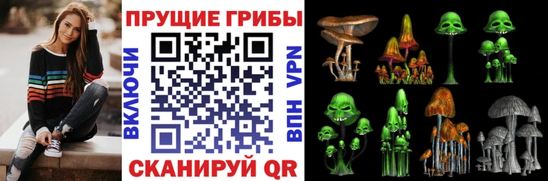 Псилоцибиновые грибы Magic Shrooms Тимашёвск